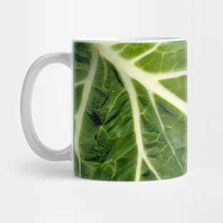 Collard leaf Mug